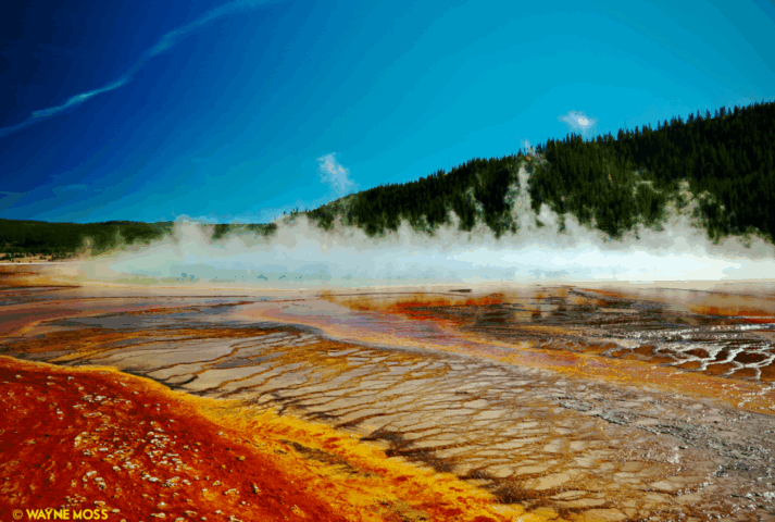 grand prismatic spring, yellowstone national park, wyoming