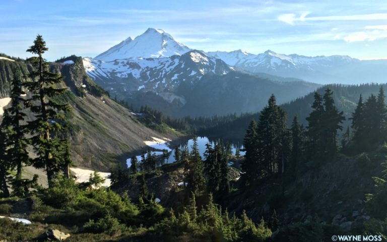 koma kulshan, mt baker-snoqualmie national forest, washington, pnw