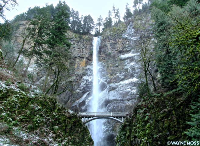 multnomah falls, winter, multnomah county, oregon, pnw