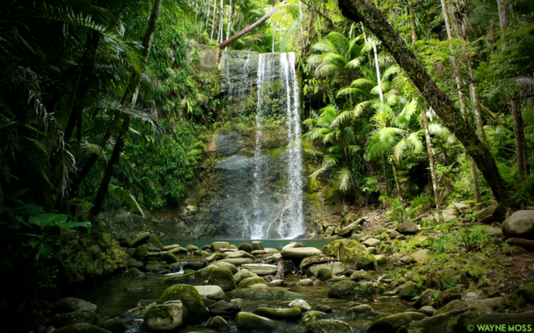 san carlos falls, waterfall, yona, guam