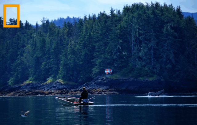 Oliver from "Port Protection Alaska"